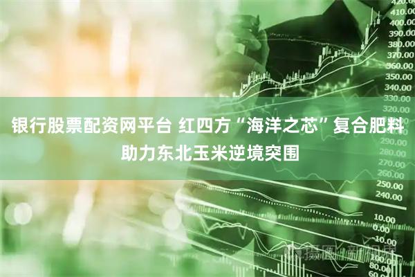 银行股票配资网平台 红四方“海洋之芯”复合肥料 助力东北玉米逆境突围