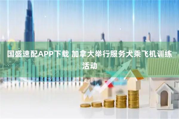 国盛速配APP下载 加拿大举行服务犬乘飞机训练活动