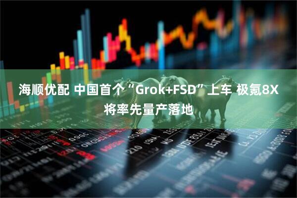 海顺优配 中国首个“Grok+FSD”上车 极氪8X将率先量产落地