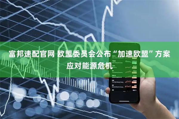 富邦速配官网 欧盟委员会公布“加速欧盟”方案应对能源危机